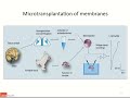 electrophysiology of human native receptors in neurological and mental disorders