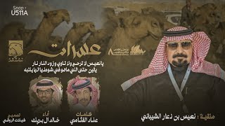 شاعر واحب الناقه الصفرا - خالد ال بريك \u0026 عناد القثامي - يلطم رقم واحد - عسرات نعيس الشيباني 2024