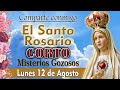 Santo Rosario Corto SIN ANUNCIOS EN MEDIO DE LA ORACION lunes 12 de agosto de 2024 MISTERIOS GOZOSOS