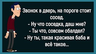 💎Как Сосед Просил Соседку Дать Ему! Сборник Смешных До Слёз Анекдотов! Юмор! Позитив!