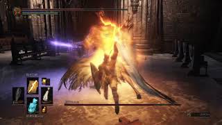 黑暗靈魂3 五周目 陽光之槍速殺 教宗沙力萬 Dark Souls 3 NG+4 Pontiff Sulyvahn