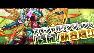 パズドラ【炎の蟲龍】孫悟空 16倍PT ノーコン 超地獄級