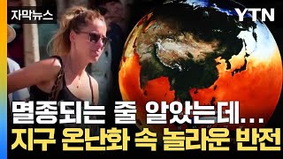 [자막뉴스] 스스로 균형 잡으며 생존...식물의 놀라운 생명력 / YTN