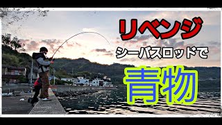 【アジング\u0026ショアジギ】リベンジ❗アジングのあとはシーバスロッド青物❗