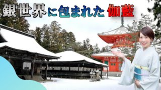 高野山 伽藍の雪景色 静けさと 幻想的な風景