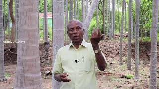 Thennai maram valarpu in Tamil |தென்னை மரம் வளர்ப்பு |Coconut tree cultivation Expert talk series #1