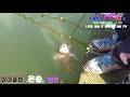 장대fishing차평지 대물 live좋은방송 dh tv 제공 구독 좋아요