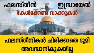 ഫലസ്‌തീനികൾ ചിരിക്കാതെ ഭൂമി അവസാനികുകയില്ല | റഹ്മത്തുള്ള ഖാസിമി | ഫലസ്തീൻ ഇസ്രായേൽ | Vadi Munawara