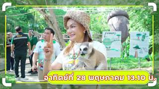 EP155 ตอน สวนสัตว์เปิดเขาเขียว กับความสำคัญด้านการเลี้ยงและสงวนพันธุ์สัตว์ การสร้างสมดุลย์ทางธรรมชา