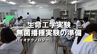 無菌播種の実験の様子(前編)【生命工学実験】