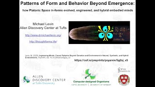 Patterns of Form and Behavior Beyond Emergence by Michael Levin
