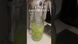 シャインマスカットを強炭酸に12時間漬けると更に旨い！