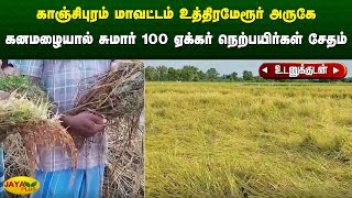 காஞ்சிபுரம் மாவட்டம் உத்திரமேரூர் அருகே கனமழையால் சுமார் 100 ஏக்கர் நெற்பயிர்கள் சேதம் | Kanchipuram