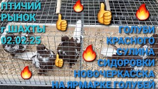 🔥🔥🔥 Голуби Новочеркасска, Красного Сулина, Сидоровки на ярмарке голубей в г.Шахты. Птичий рынок.