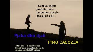 Pino Cacozza - Pjaka dhe djali (La vecchia e il bambino)