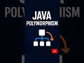 Polymorphism in Java Explained | The Real Interview Answer #java #shorts #polymorphism #interview