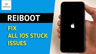 Fix iPhone / iPad Stuck Issues without Data Loss - ReiBoot 2020 Guide