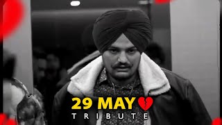 SIDHU MOOSE WALA 29/5 | Tribute | Barsi Moose Wala 29 May #295sidhumoosewala #tribute