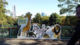 [Yokohama JAPAN WALKing]Stroll through Nogeyama Zoo. 野毛山動物園での散歩や動物とのふれあい