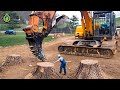 Extreme Dangerous Fastest Big Chainsaw Cutting Tree Machines | Monster Stump Removal Excavator #103