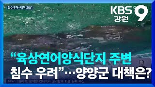 “양양 육상연어양식단지 주변 침수 우려”…양양군 대책은? / KBS  2023.11.16.