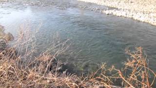 川の流れの観察　Observation of river flow　（超音波システム研究所　ultrasonic-labo）