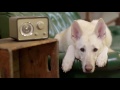 iDevices Switch - Wi-Fi Enabled Smart Plug