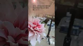 大理花 冷瓷花藝 粘土教學