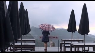 三年的舊情～ 陳雷          〔三峽熊空山 ～ 櫻花戀〕