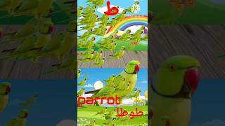 ط سے طوطا 🦜Parrot means tota urduAlfaaz Urdu alphabets speaking