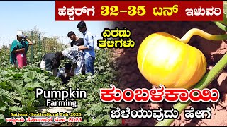 ಕುಂಬಳಕಾಯಿ ಕೃಷಿ | Pumpkin Farming | ರಾಷ್ಟ್ರೀಯ ತೋಟಗಾರಿಕೆ ಮೇಳ | National Horticultural Fair 2023