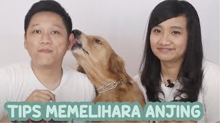 TIPS MEMELIHARA ANJING | Edel Tips (SUB AVAILABLE)