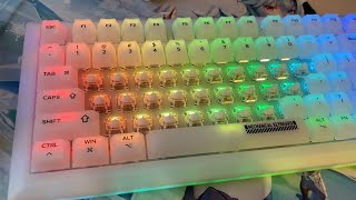 A wonderful RGB keyboard! | DK75 + RK Clear