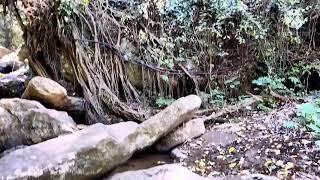 Chilanthiyar waterfalls,near vattavada,Idukki