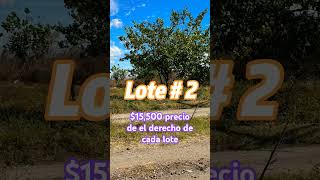 VENDO El Derecho de 2 lotes en Lotificacion Andalucia cerquita de Aeropuerto $15,500 #realestate