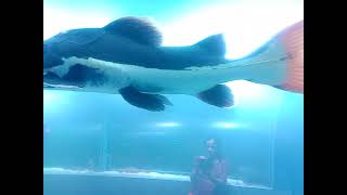 MARINE WORLD EXPO 2023 Start October 20 at kollam asramam maidan