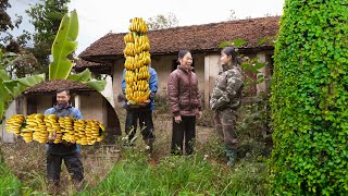 There's Someone Superthanks Us With Beautiful Bananas | Clean Up Overgrown Grass Garden