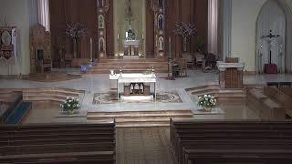 Funeral Mass - Denise DeMartini