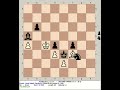 avalanche 2.1 vs stockfish 240505 grob attack chess