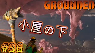 【Grounded】ハンマークラフトで久々にシナリオ進行！巨大昆虫裏庭冒険サバイバル！グラウンデッド！正式版 [#36]