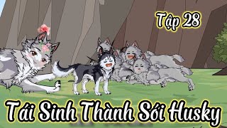 Tập 28 | Tái Sinh Thành Sói Husky | Zinn Vietsub