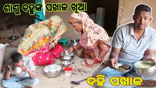 ଶାଶୁ ବହୁଙ୍କ ପଖାଳ ଖିଆ | ଦହି ପଖାଳ | ଗାଁ ରୁ ମାଗିକି ଆଣିବା ପଖାଳ | SUBASH JENA VLOGS