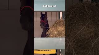 Preakness Contender Profile | Coffeewithchris