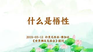 卢台长【共修组提问】什么是悟性？| 观世音菩萨心灵法门 (2018.03.12印尼雅加达)