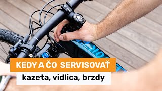 Kedy a čo na bicykli servisovať - kazeta, vidlica, brzdy...