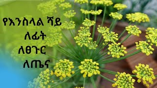 ethiopia🌻የእንስላል ሻይ ጥቅሞች🌻እንስላል ለጤና እና ለውበት