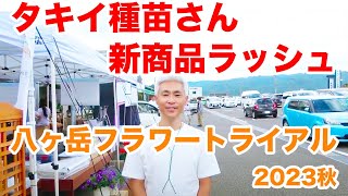 タキイさん新品種ラッシュ！！一般の人は入れない八ヶ岳フラワートライアル2023秋