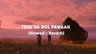 Tenu Na Bol Pawaan - Lofi || Slowed + Reverb || Lyrics