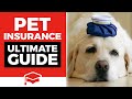 The Ultimate Pet Insurance Guide: Is Pet Insurance Worth It?