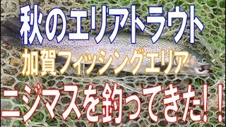 秋に加賀フィッシングエリアでトラウトフィッシング！ニジマスが釣ってきた！！